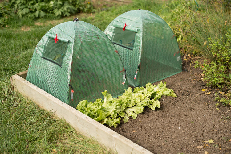 POP Open Greenhouse Cover 22" x 22" x 22"  2-PACK